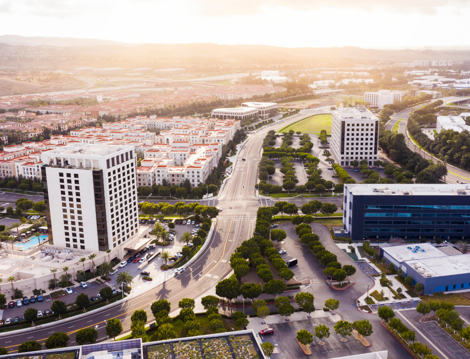 8-Week Research & Innovation Program | Work with Professor