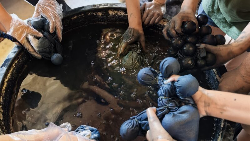 2025 Summer | Hunan, China | Global Philanthropy Leadership Internship Program | Microfinance Rural Poverty Alleviation Project