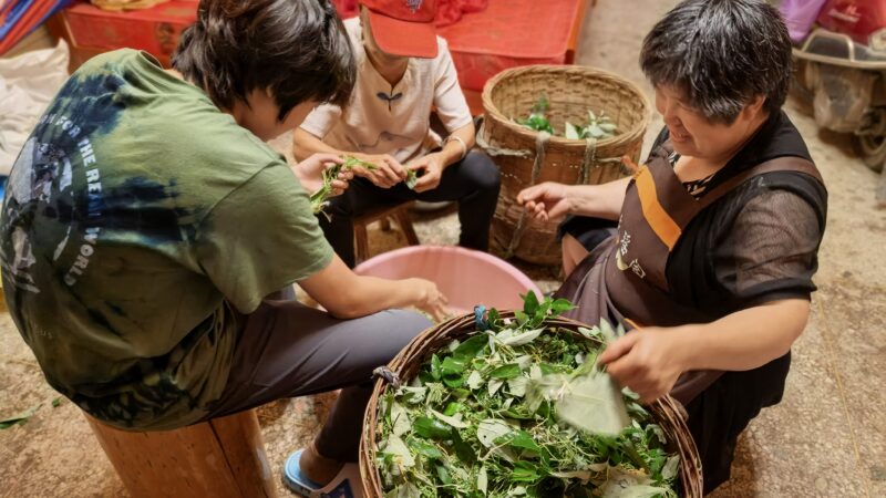 2025 Summer | Hunan, China | Global Philanthropy Leadership Internship Program | Microfinance Rural Poverty Alleviation Project
