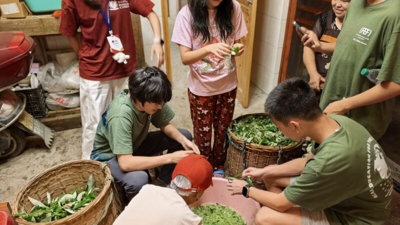 2025 Summer | Hunan, China | Global Philanthropy Leadership Internship Program | Microfinance Rural Poverty Alleviation Project