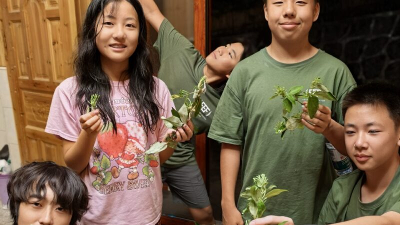 2025 Summer | Hunan, China | Global Philanthropy Leadership Internship Program | Microfinance Rural Poverty Alleviation Project