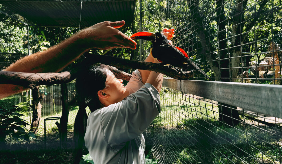 Summer 2025 | Costa Rica | Global Philanthropy Leadership Internship Program | Costa Rica Biodiversity Project | teen volunteer opportunities