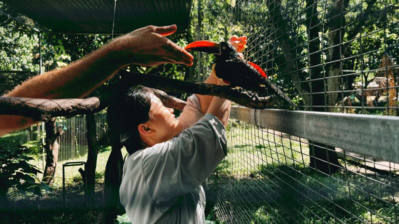 Summer 2025 | Costa Rica | Global Philanthropy Leadership Internship Program | Costa Rica Biodiversity Project