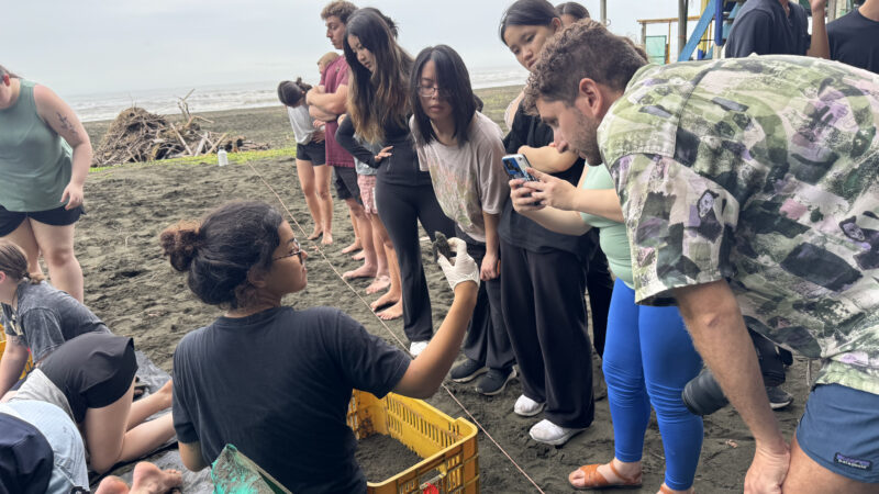 Summer 2025 | Costa Rica | Global Philanthropy Leadership Internship Program | Costa Rica Biodiversity Project