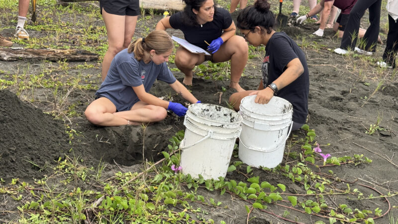 Summer 2025 | Costa Rica | Global Philanthropy Leadership Internship Program | Costa Rica Biodiversity Project