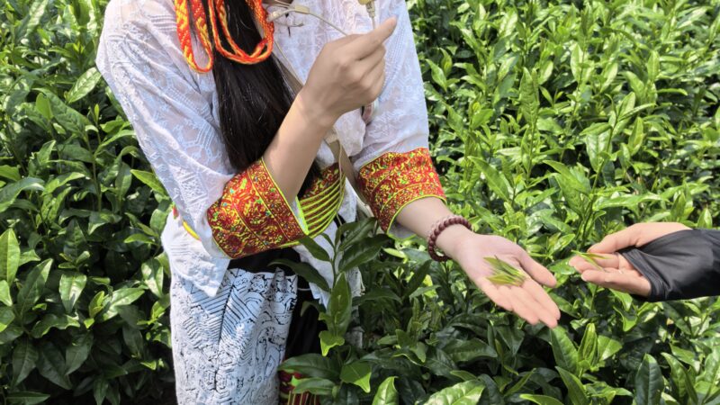 2025 Summer S2 Hunan China Microfinance Poverty Alleviation Project for GPL program