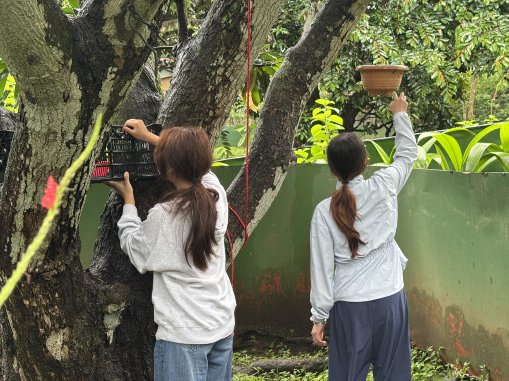 summer S2 2025 Costa Rica Biodiversity GPL Program ｜ Global leadership program