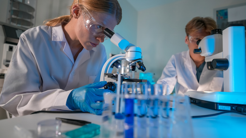 STEM research | STEM cell research