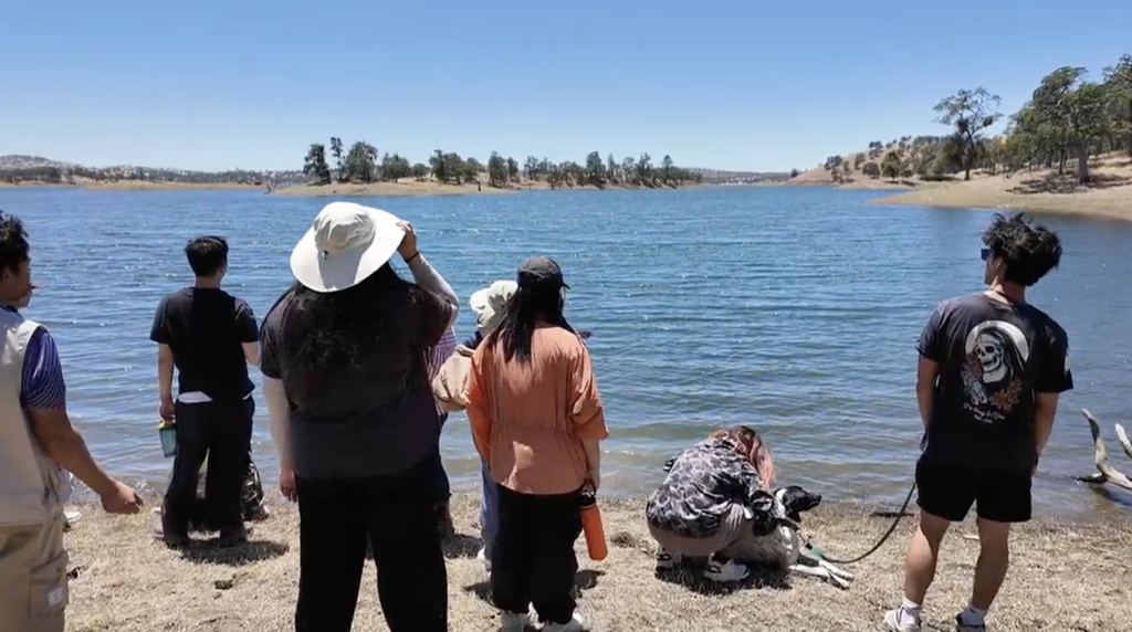 lake don pedro summer 2026